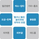 조에피부과 네이버블로그
