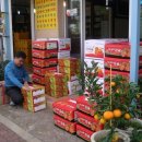 종남농장 이미지