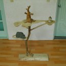 고양이 놀이터 이미지