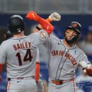 마이애미 이미지