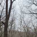 골안 약수터 이미지