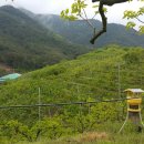 금월농장 이미지