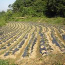 오대산별장 이미지