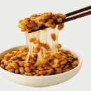 리얼발효