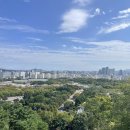 구릉공원 | 서울 상암하늘공원 봄나들이 코스 벚꽃 명소 예쁜 스팟