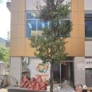닭발굽는청년 로고