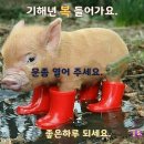 공감 이미지
