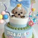 댕수무강 이미지