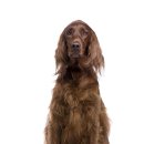 이룸동물병원 이미지