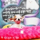 와와 이미지