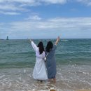 춘천남이섬애견가족전원마을펜션 이미지