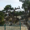 경주한옥마을 이미지