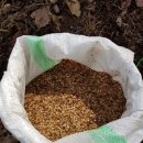 더덕농장 이미지