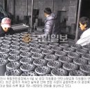 육림연탄 국민일보