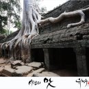 올드팝스 이미지