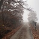 구례의길(지리산둘레길) 이미지