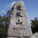 뱅뱅 홍성 Daum카페