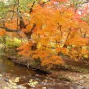 (유)유진 이미지