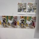 댕댕바게트 이미지