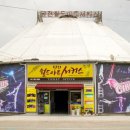 당진월드아트서커스 이미지