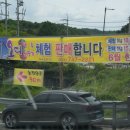(주)오디 | 원주 누구네 오디농장 오디따기 체험 후기