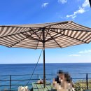 카페블루오션 | [묵호 카페블루오션] 묵호 바다뷰 등대카페 블루오션 내돈내산 솔직후기 (테라스, 메뉴)