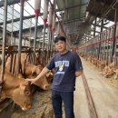 한우애목장 이미지