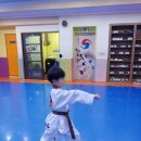 정도태권도 이미지