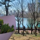 하늘에서 온 선물 이미지