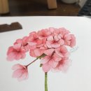 수채화캘리그라피 이미지