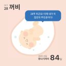 서초대로64길 31 | 28주~31주 임산부 일상 모음 (임산부 플라워 클래스...용품 구입, 후기입덧, 태교바느질, 임신후기 전원)