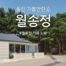 울진소나무 | 울진 여행 :: 울창한 소나무숲과 넓은 수평선을 볼 수...울진맨발걷기 그리고 카페 월송정노바 솔직후기