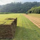 삼일농장 이미지