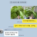 감염병으로부터 우리 아이 건강하게 키우기 | 택대리의 다이소 상추 키우기 2회차 후기