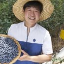 정진농장 이미지