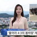 위클리 제주도청 뉴스 진행에 AI 아나운서 도입 이미지