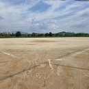 8월 23일 첨단2구장 13시 AF CatChers 이미지