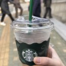 누들쇼크 이미지