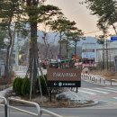 이마트24 수유사랑점 | [파라스파라 서울 호텔] 팀버 주니어 숙박 후기 – 도심 속 자연에서 힐링 1박 2일