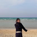 페브먼트 네이버블로그