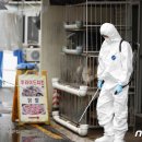 말바우 농장 이미지