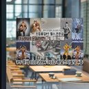 (진접)홈짐 이미지