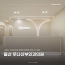루나산부인과의원 네이버블로그