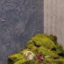 신스구스디자인 이미지
