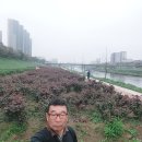 꽃동산당구장 Daum카페