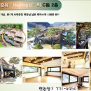 숲속개울가 이미지