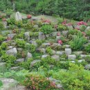 김해대학교 이미지