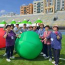 제9회 경기도지체장애인체육대회 성료 "화성시지회 종합준우승"(26.09.14.) 이미지