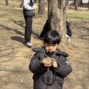 동인태권도장 이미지