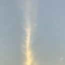 (유)구룡 이미지